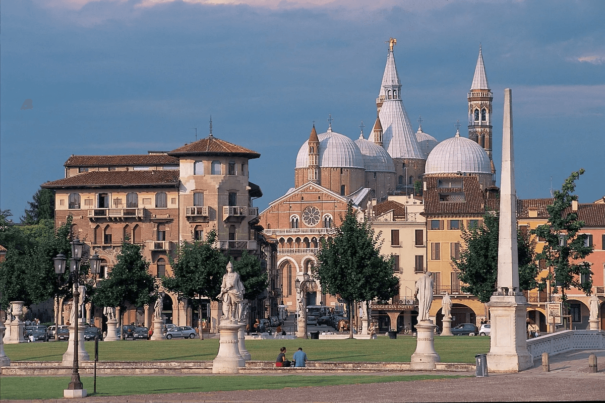 Padova Web Design: Innovazione e Creatività per il Tuo Business Online